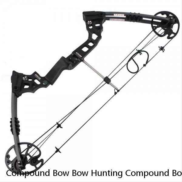 Compound Bow Bow Hunting Compound Bow Manufacturer Compound Bow Set Dual Use Catapult Pulley Ball Hunting Bow Archery Compound Steel Ball Bow