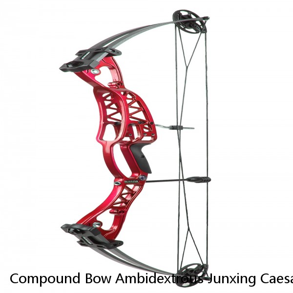 Compound Bow Ambidextrous Junxing Caesar