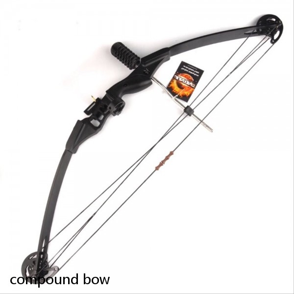 compound bow