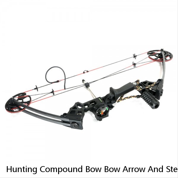 Hunting Compound Bow Bow Arrow And Steel Ball Dual Use Archery Hunting Left Handed 60 LBS M109e Archery Steel Ball Compound Bow