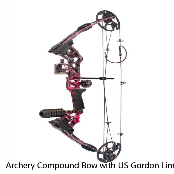 Archery Compound Bow with US Gordon Limb Adjustable 70lbs Professional Hunting Compound Bow