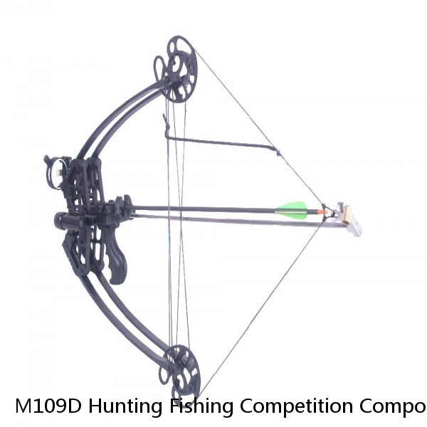 M109D Hunting Fishing Competition Compound Bow for shooting Archery Arrow 45lbs Aluminum Riser Laminated Limbs