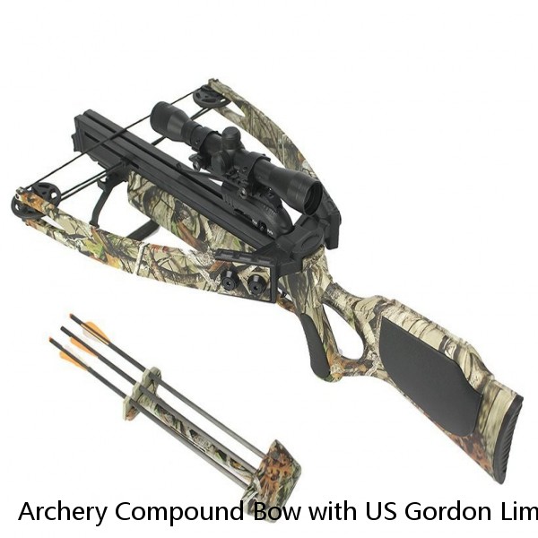 Archery Compound Bow with US Gordon Limb Adjustable 70lbs Professional Hunting Compound Bow