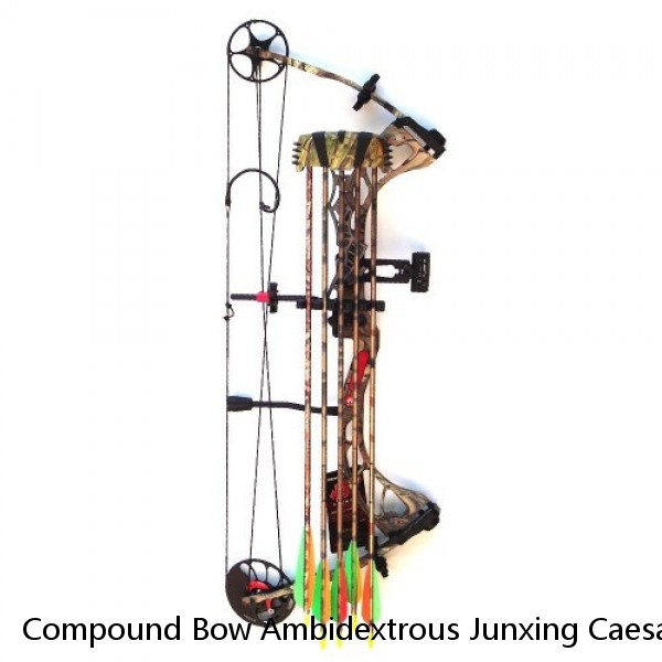 Compound Bow Ambidextrous Junxing Caesar