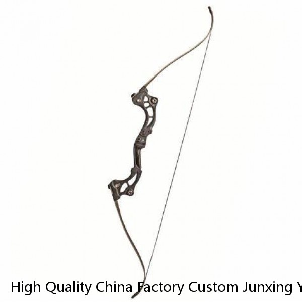 High Quality China Factory Custom Junxing Youth Archery Compound Bow Outdoor Hunting Shooting W451 Bow and Arrows Set