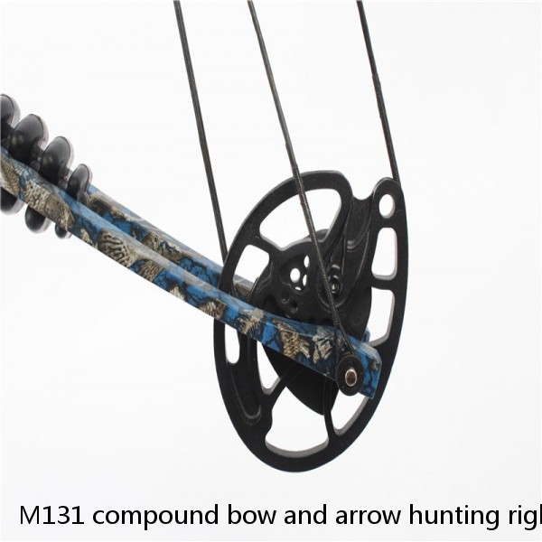 M131 compound bow and arrow hunting right hand bow, stretching weight 40-55lbs outdoor shooting competition bow and arrow set