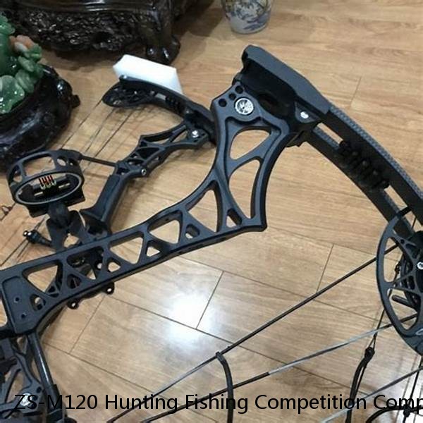 ZS-M120 Hunting Fishing Competition Compound Bow for shooting Archery Arrow 20-70lbs Aluminum Riser Laminated Limbs