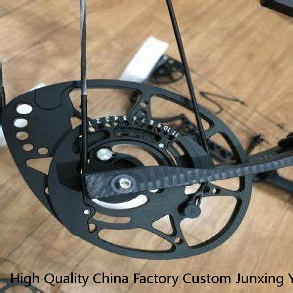 High Quality China Factory Custom Junxing Youth Archery Compound Bow Outdoor Hunting Shooting W451 Bow and Arrows Set