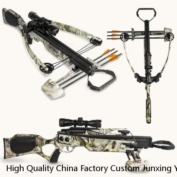 High Quality China Factory Custom Junxing Youth Archery Compound Bow Outdoor Hunting Shooting W451 Bow and Arrows Set